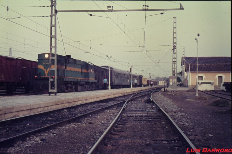 P1040593-firma.jpg