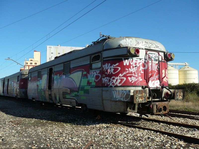 T31 (77).JPG