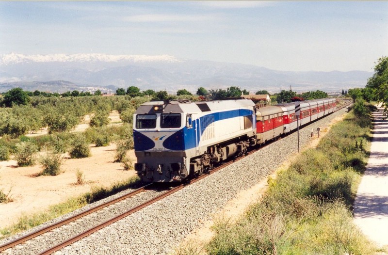 321.jpg