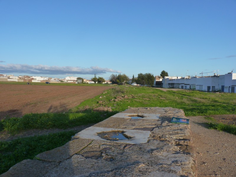 P1090827.JPG
