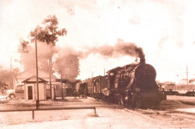 san roque- la linea  1.jpg