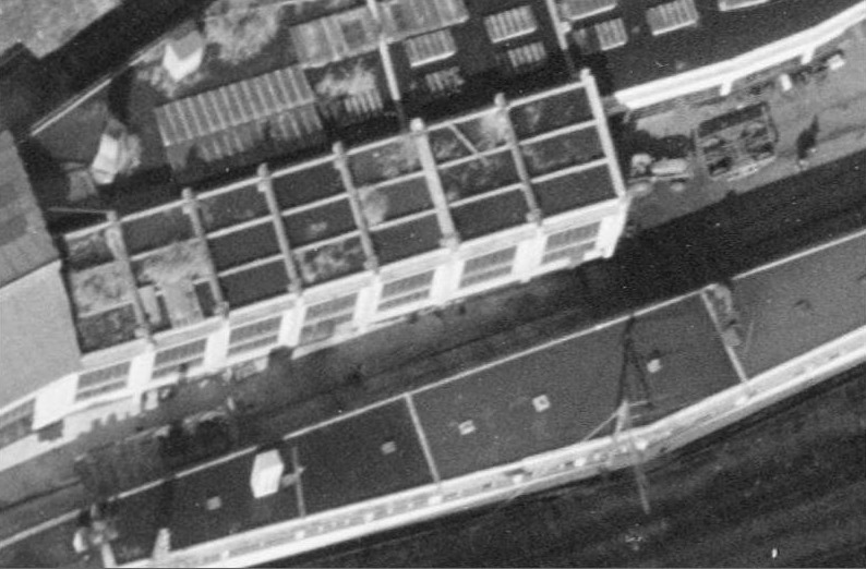 19733.jpg
