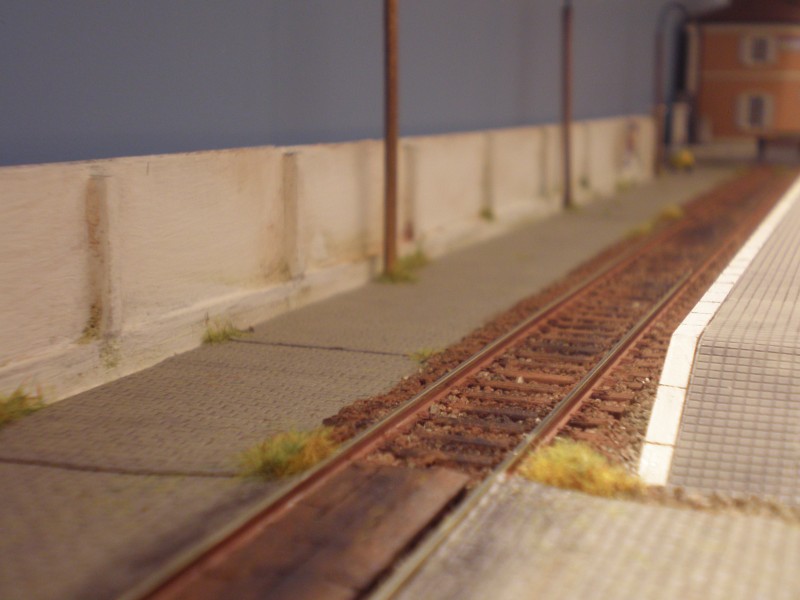 PA130099.JPG