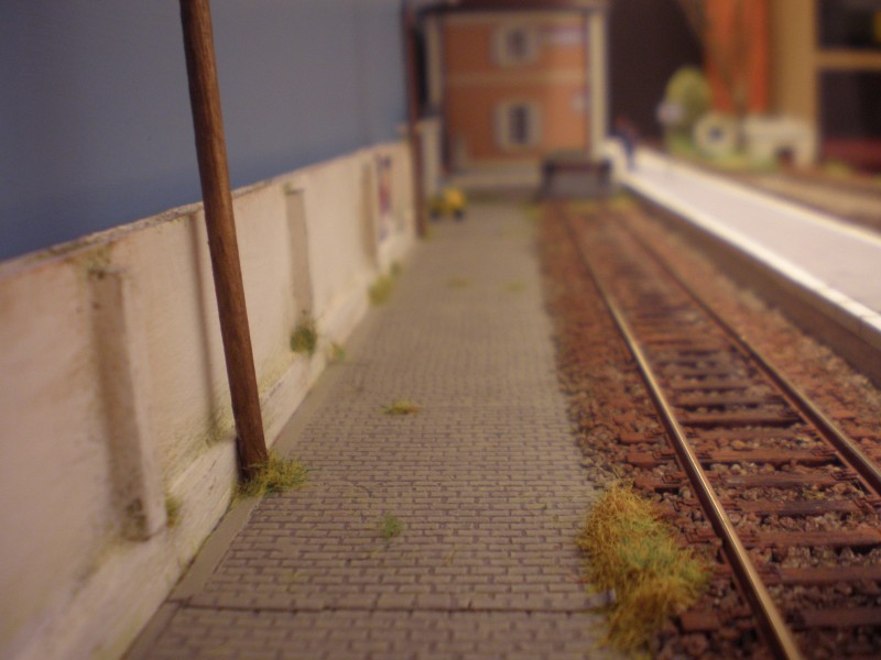 PA130108.JPG