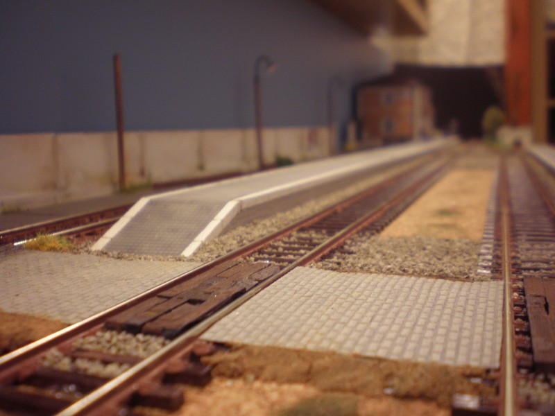 PA130089.JPG