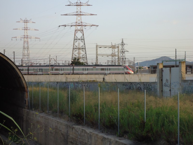 DSC04529.JPG