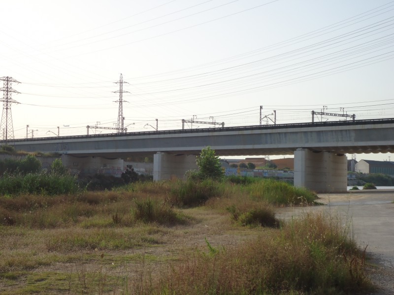DSC04562.JPG