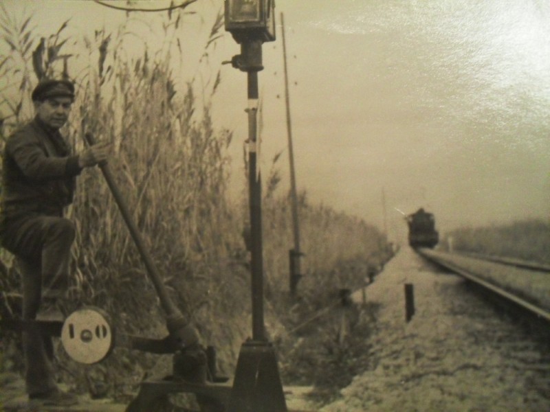 SDC11019.JPG