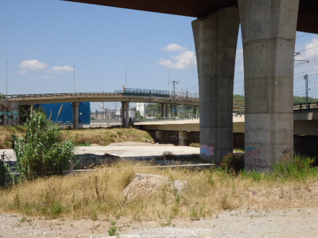 DSC04829.JPG