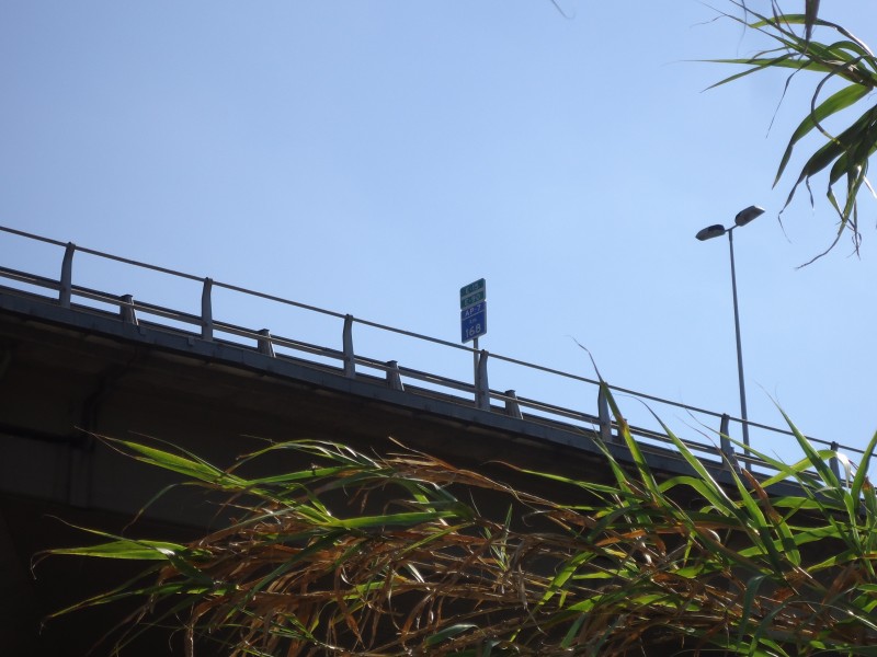 Bajo la AP-7.JPG