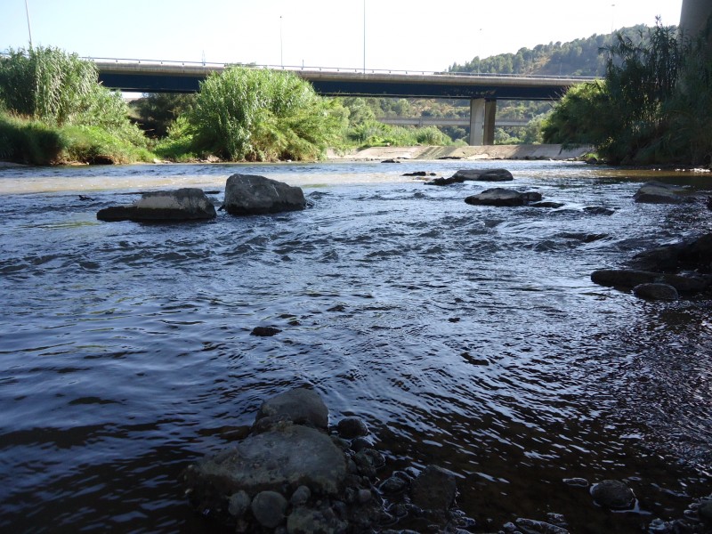Río Llobregat.JPG