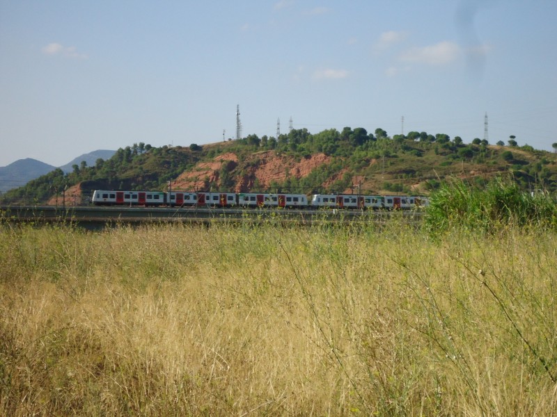 DSC04895.JPG