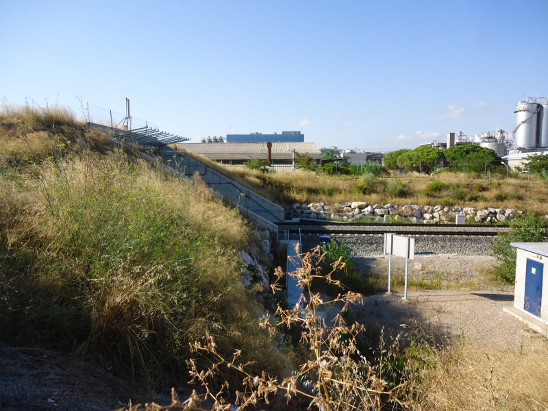 DSC04904.JPG