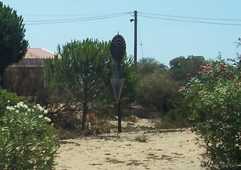 rota 25-08-05.jpg