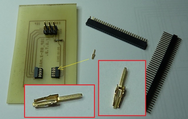 Zoc-prg-3.jpg