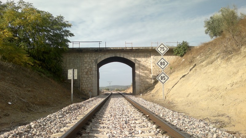 251020134398.jpg