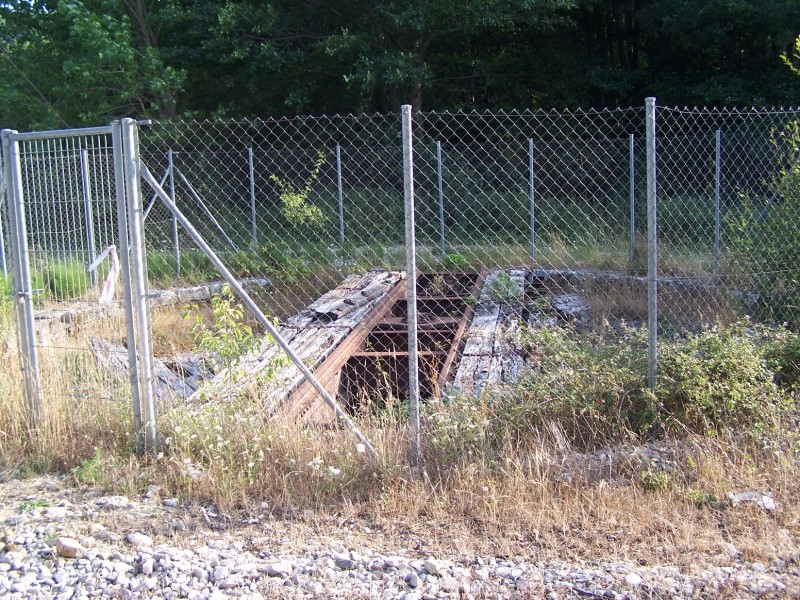 C100_3132.JPG