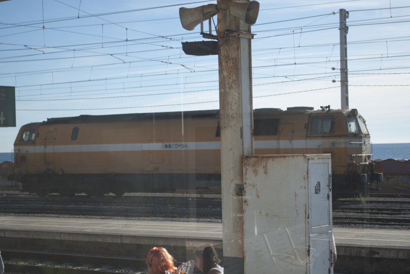 DSC_8271.jpg