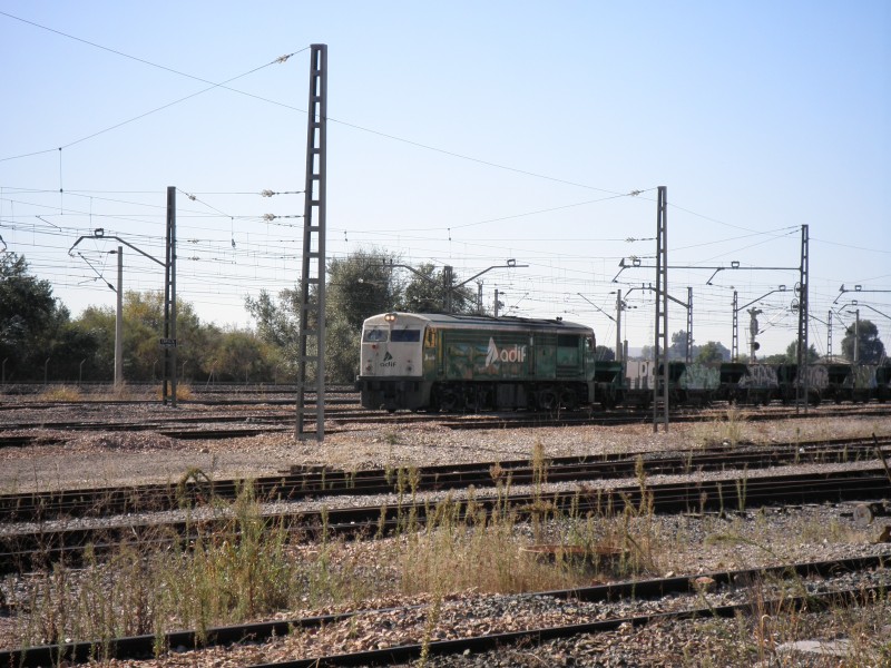 PB061060.JPG