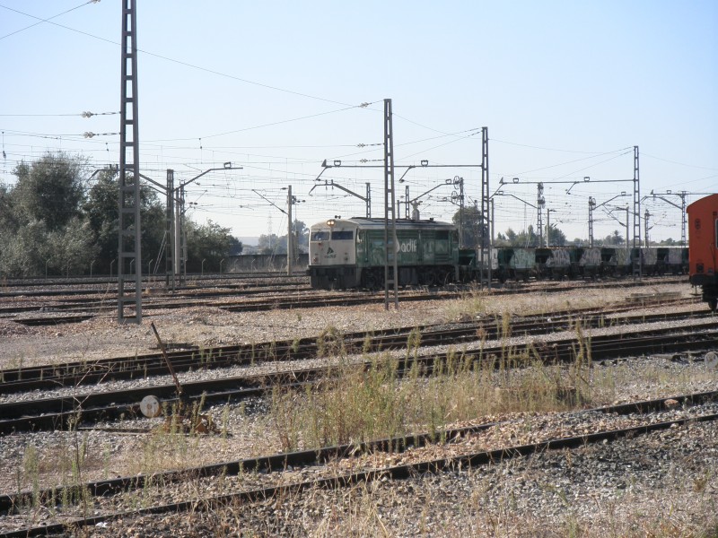PB061062.JPG