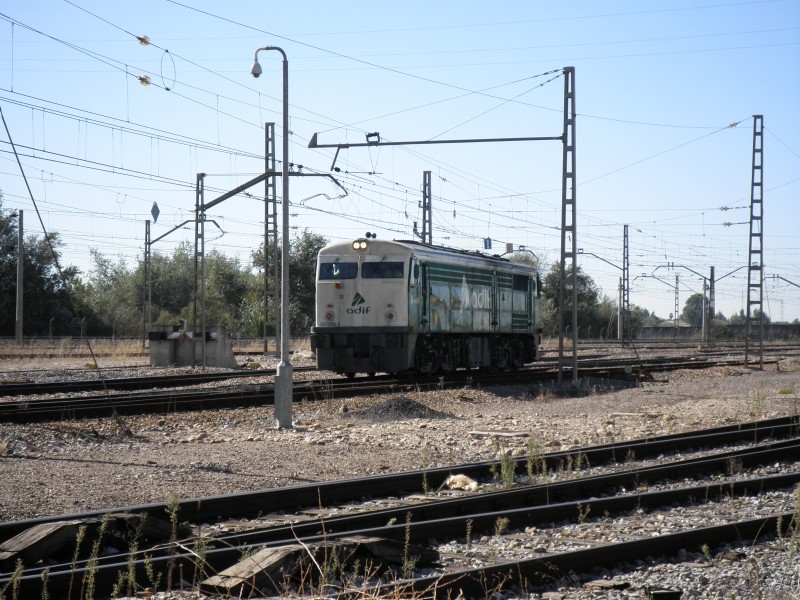 PB061065.JPG