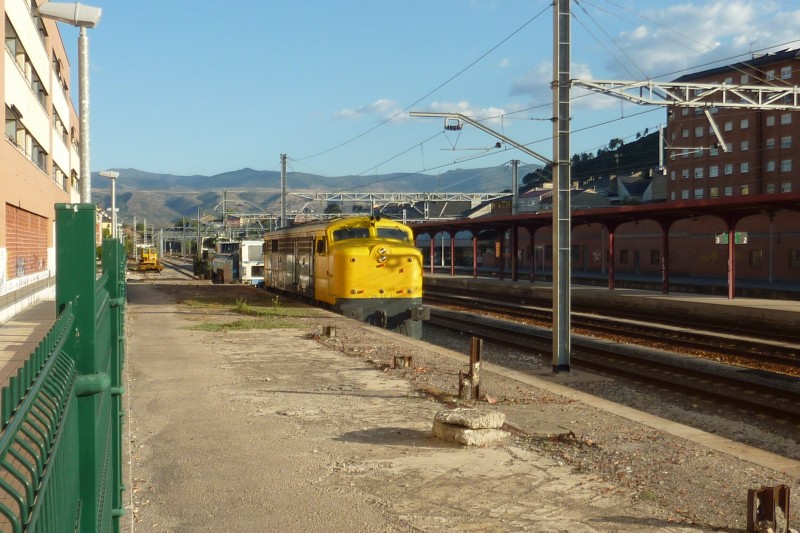 P1020874.JPG