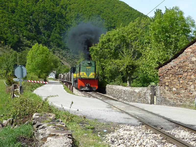 P1000043.JPG