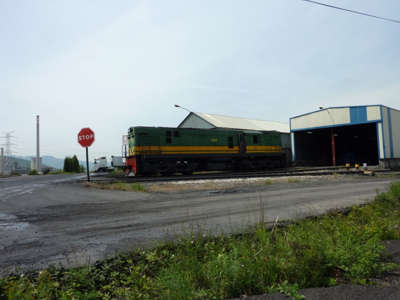 P1000055.JPG