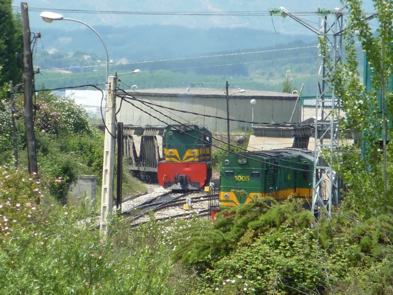 P1000061.JPG