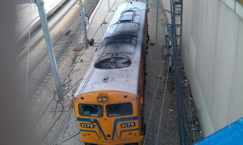 IMAG1130.jpg