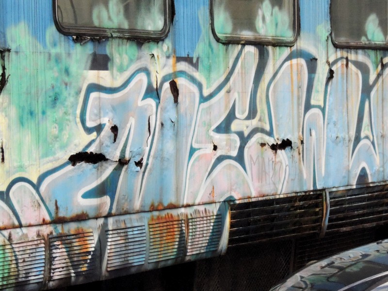 DSCN6633.JPG