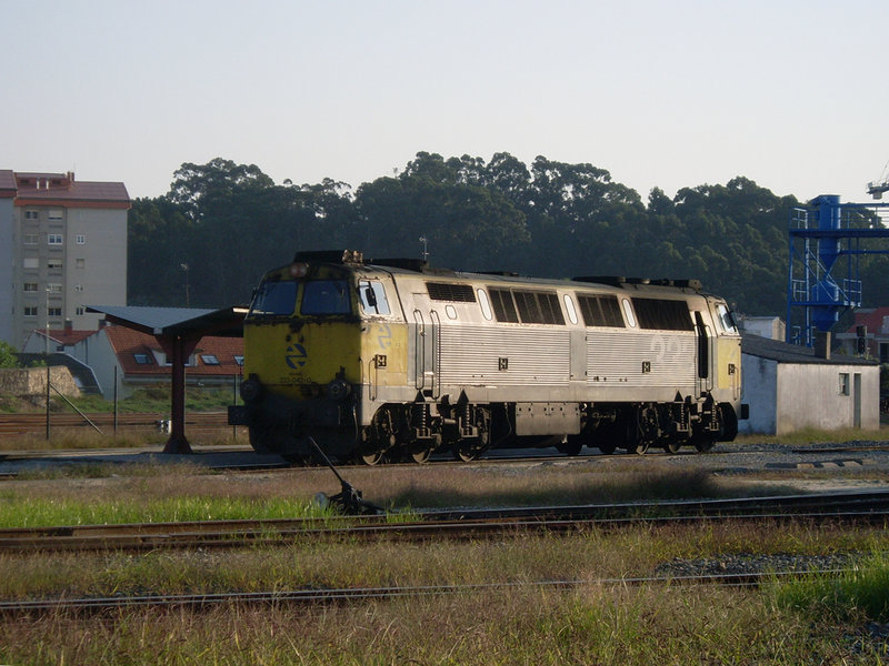 SL375896.JPG