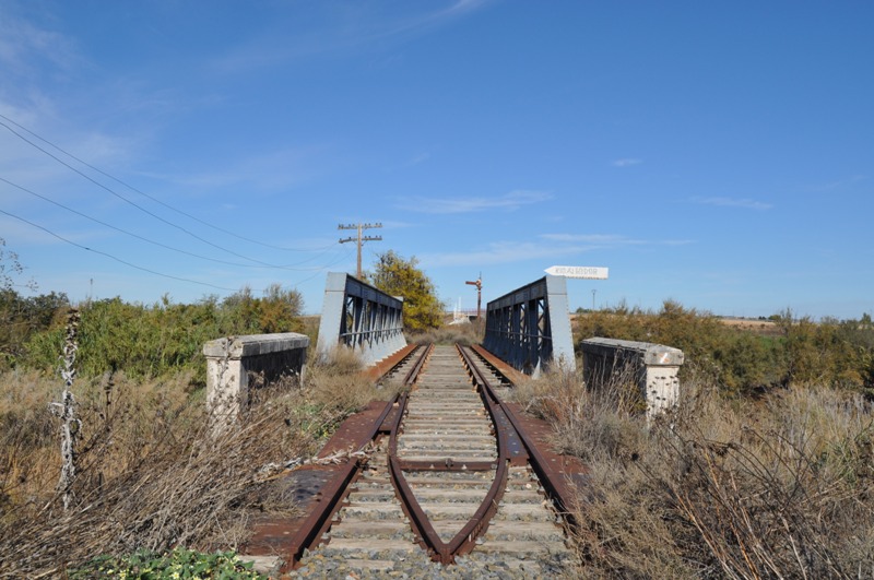 BLAE_Algod_091113_6 (2).JPG