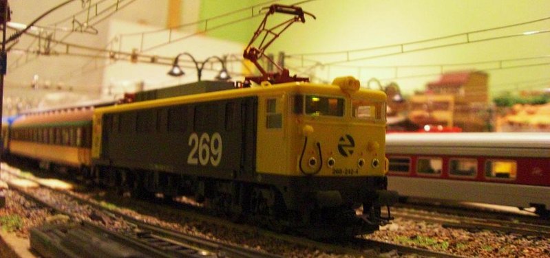 CIMG7330.JPG