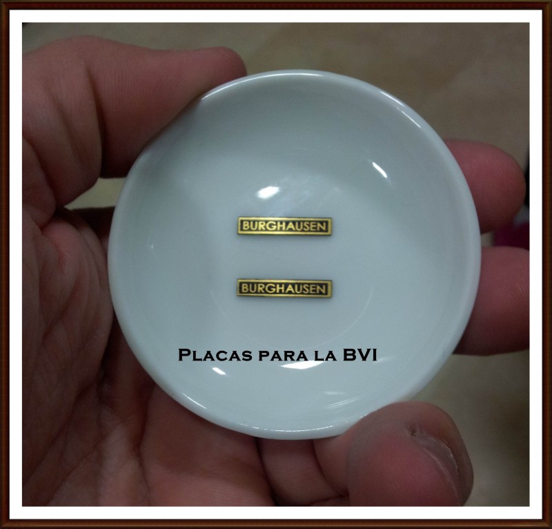 Placas para la BVI.jpg