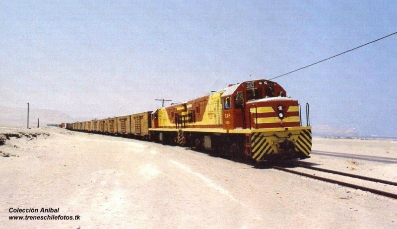 dt13100-0001 otra chilenita.jpg