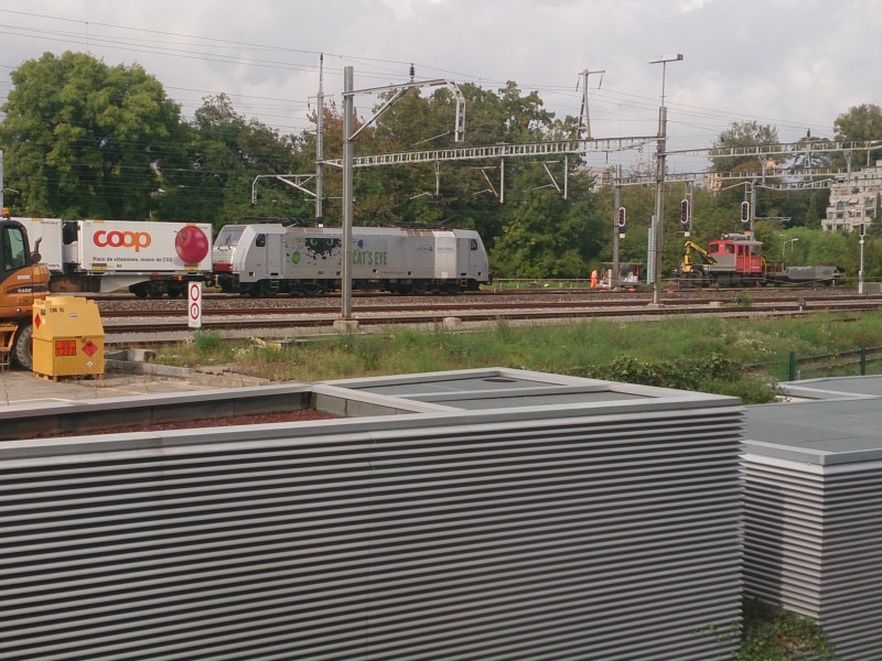 DSC_0017.jpg