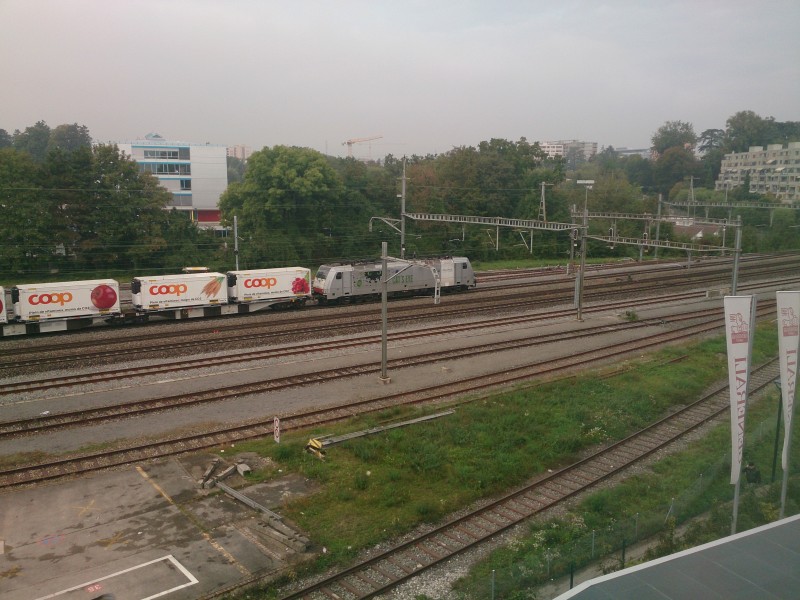 DSC_0043.jpg