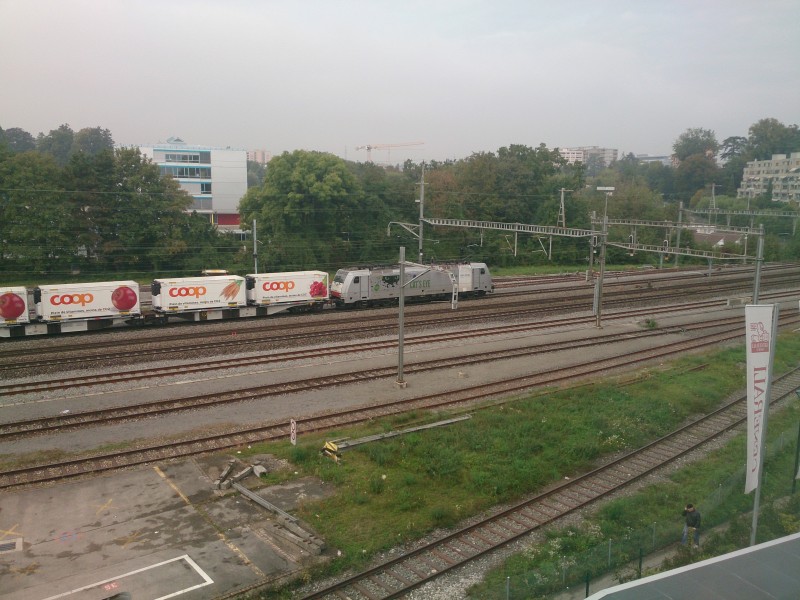 DSC_0044.jpg