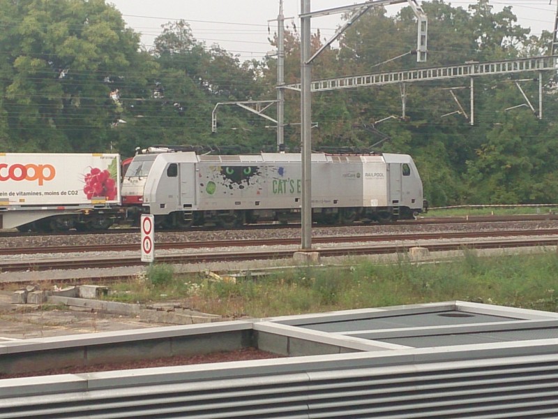 DSC_0048.jpg