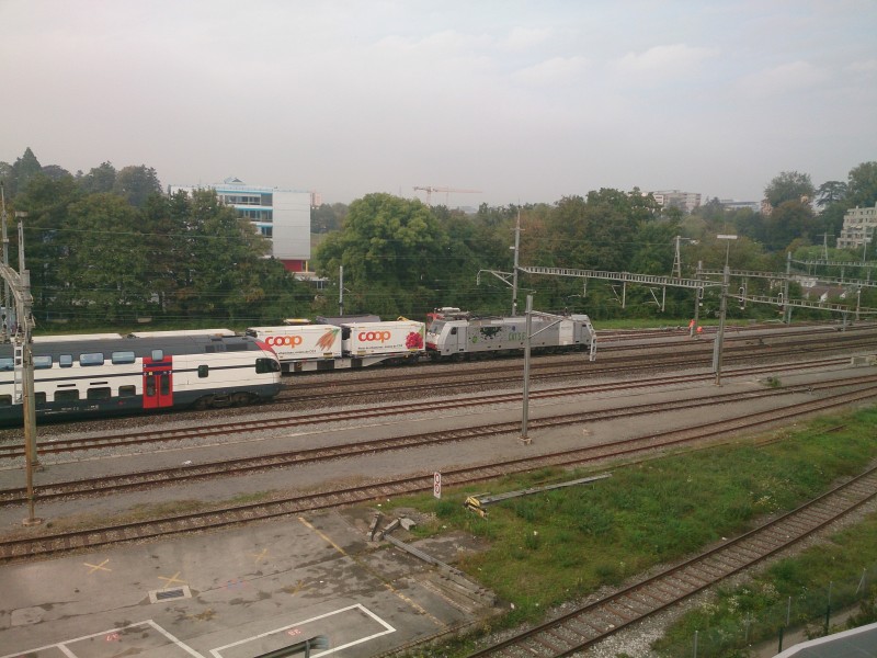 DSC_0049.jpg