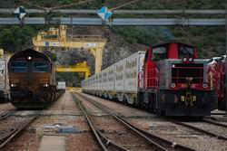 4368_locorenfe.jpg