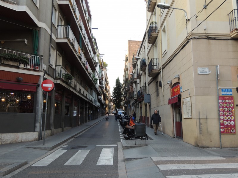 DSCN7313.JPG