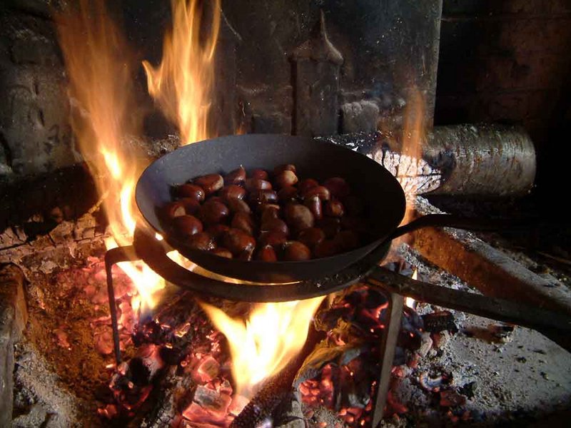 castanhas.jpg