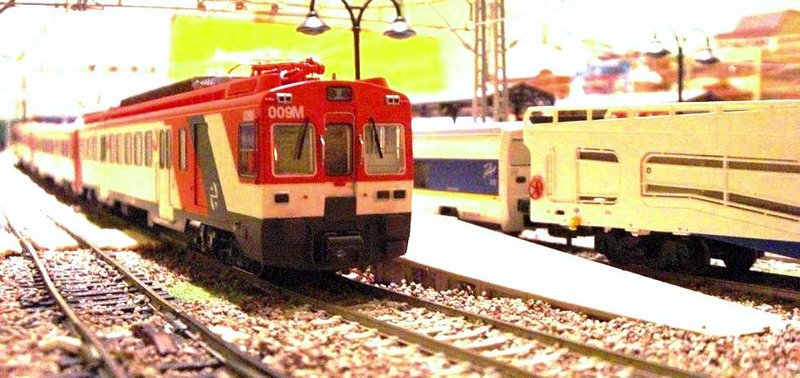 440.JPG