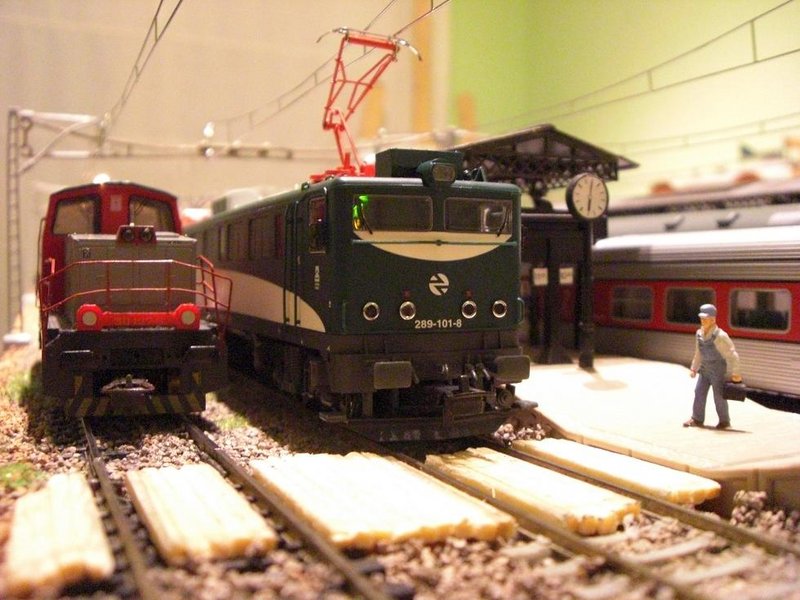 269.tn311.JPG