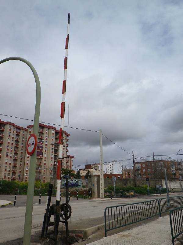 IMGP9943.JPG