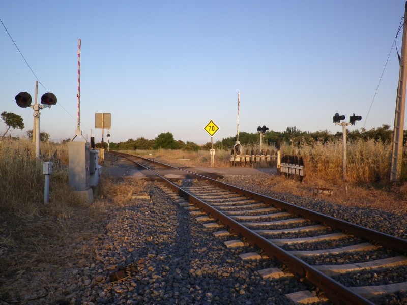 IMGP0815.JPG
