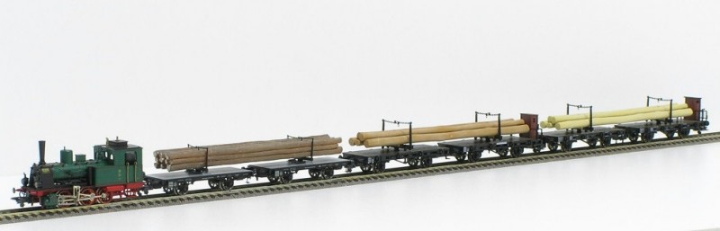 tren de troncos 2.jpg