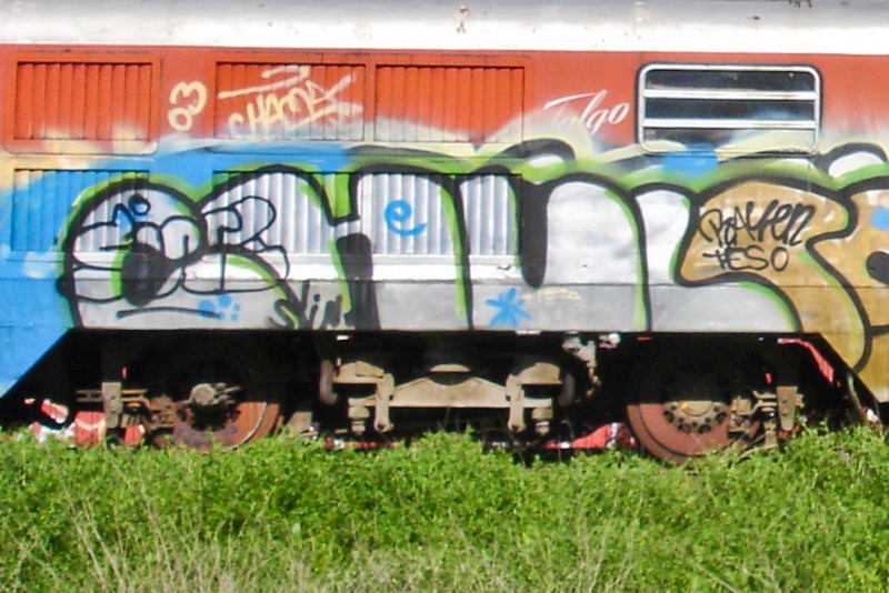 DSC01949.jpg